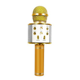 Love Karaoke Microphone