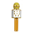 Love Karaoke Microphone