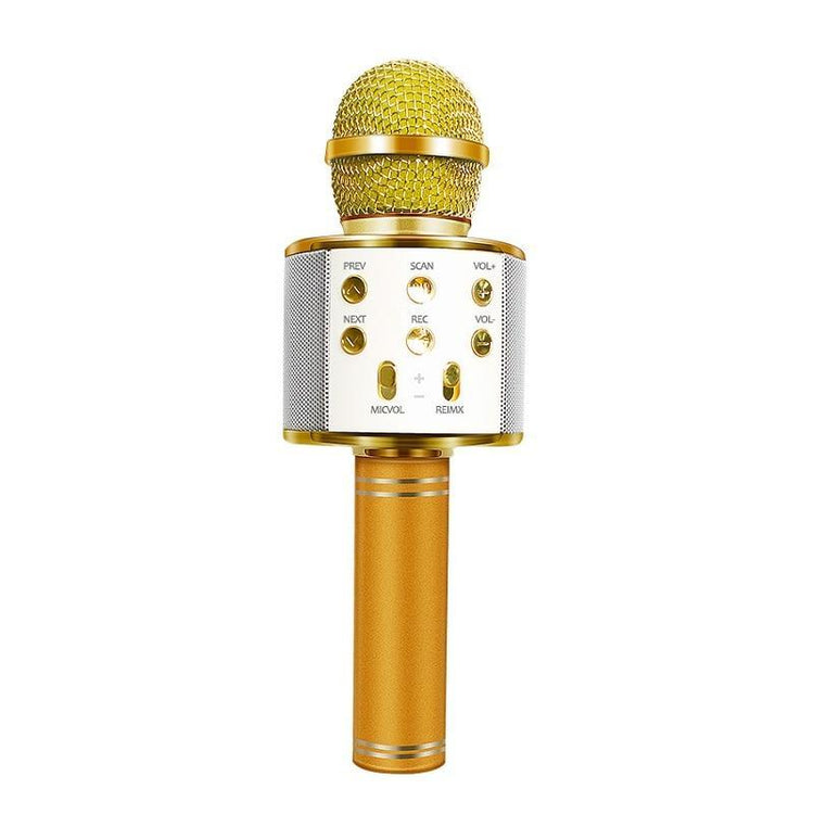 Love Karaoke Microphone