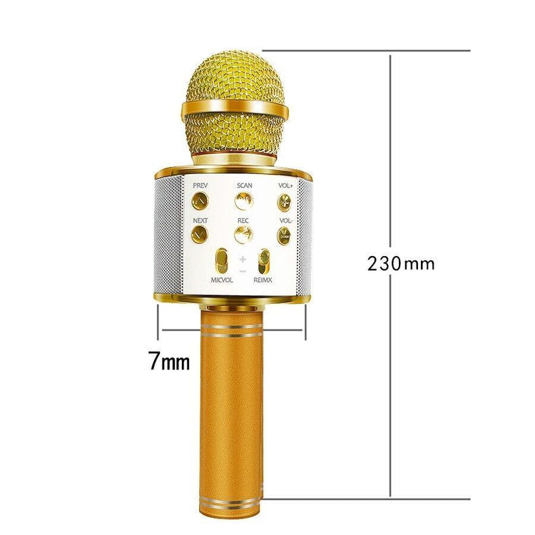 Love Karaoke Microphone