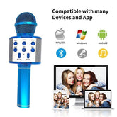 Love Karaoke Microphone