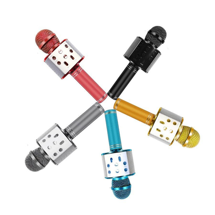 Love Karaoke Microphone