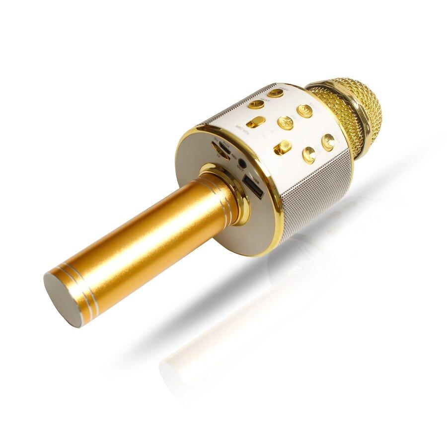 Love Karaoke Microphone
