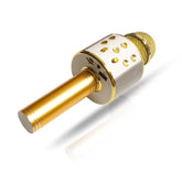 Love Karaoke Microphone