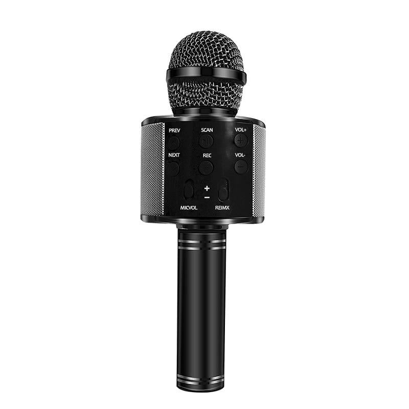 Love Karaoke Microphone