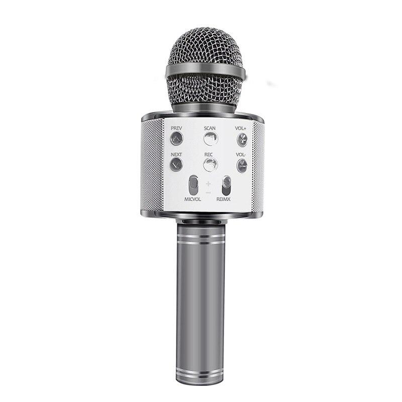 Love Karaoke Microphone