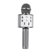 Love Karaoke Microphone