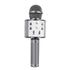 Love Karaoke Microphone