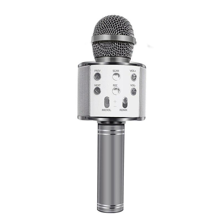 Love Karaoke Microphone